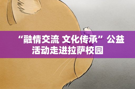 “融情交流 文化传承”公益活动走进拉萨校园