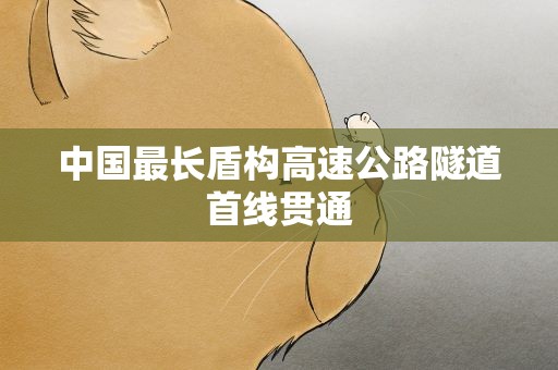 中国最长盾构高速公路隧道首线贯通