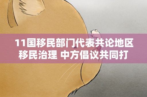 11国移民部门代表共论地区移民治理 中方倡议共同打击跨境违法犯罪