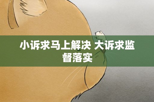 小诉求马上解决 大诉求监督落实