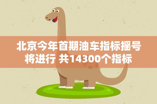 北京今年首期油车指标摇号将进行 共14300个指标
