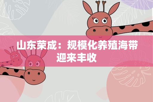 山东荣成：规模化养殖海带迎来丰收