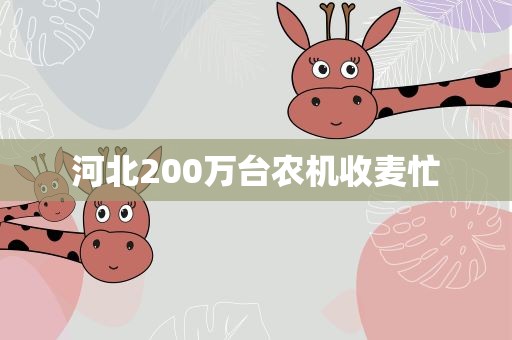 河北200万台农机收麦忙