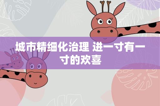 城市精细化治理 进一寸有一寸的欢喜