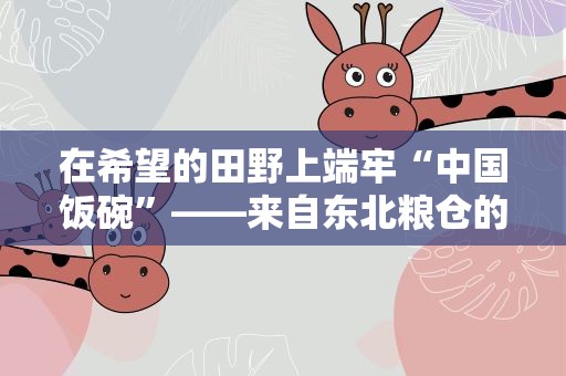 在希望的田野上端牢“中国饭碗”——来自东北粮仓的全国土地日报告