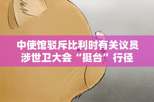 中使馆驳斥比利时有关议员涉世卫大会“挺台”行径
