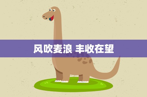 风吹麦浪 丰收在望
