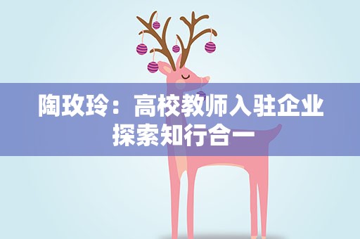 陶玫玲：高校教师入驻企业 探索知行合一