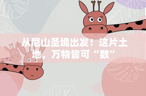  从尼山圣境出发！这片土地，万物皆可“数”