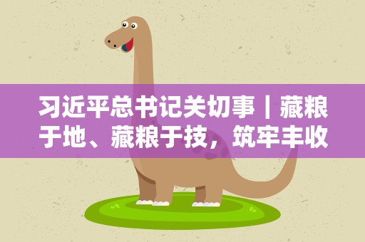 习近平总书记关切事｜藏粮于地、藏粮于技，筑牢丰收之基