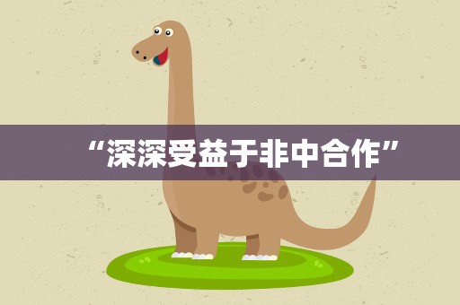 “深深受益于非中合作”