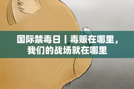 国际禁毒日丨毒贩在哪里，我们的战场就在哪里