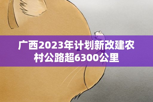 广西2023年计划新改建农村公路超6300公里