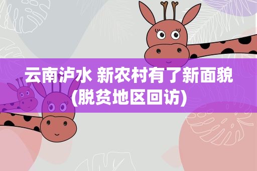 云南泸水 新农村有了新面貌(脱贫地区回访)