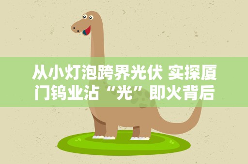 从小灯泡跨界光伏 实探厦门钨业沾“光”即火背后