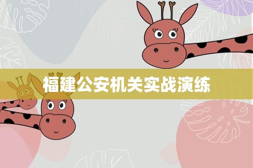 福建公安机关实战演练