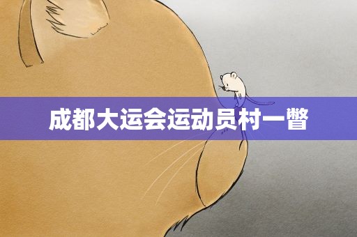 成都大运会运动员村一瞥