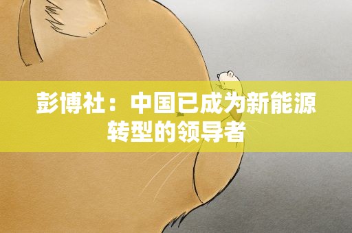 彭博社：中国已成为新能源转型的领导者