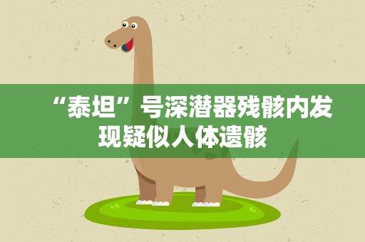 “泰坦”号深潜器残骸内发现疑似人体遗骸