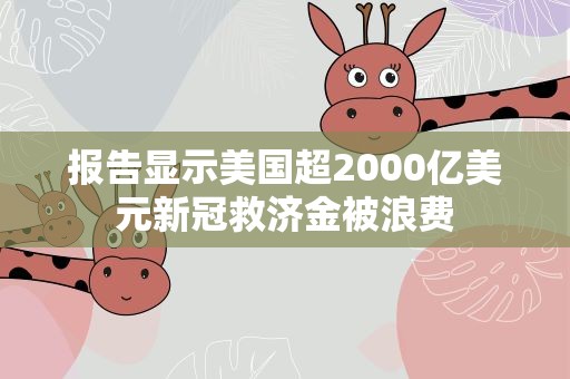 报告显示美国超2000亿美元新冠救济金被浪费