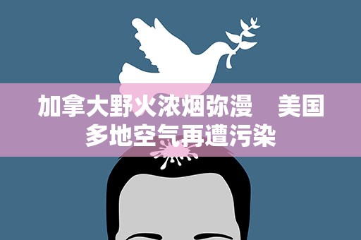 加拿大野火浓烟弥漫　美国多地空气再遭污染