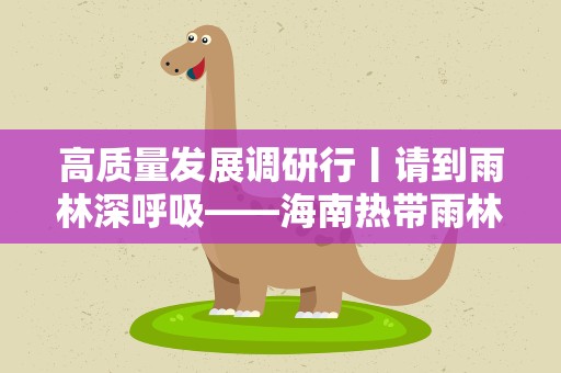 高质量发展调研行丨请到雨林深呼吸——海南热带雨林绿色发展观察