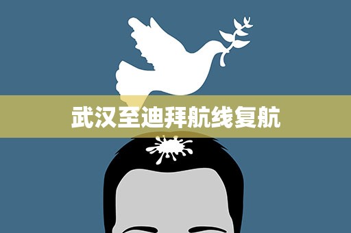 武汉至迪拜航线复航