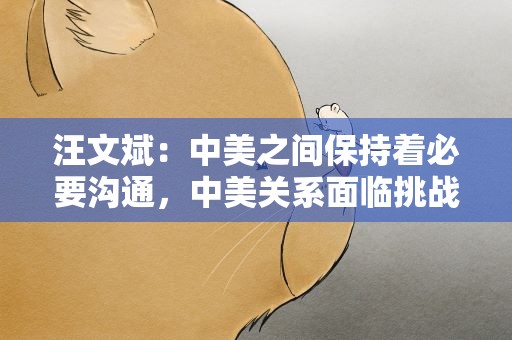 汪文斌：中美之间保持着必要沟通，中美关系面临挑战，责任不在中方