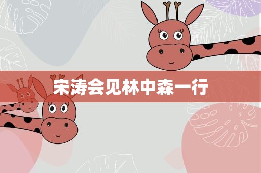 宋涛会见林中森一行