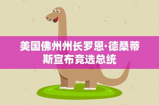 美国佛州州长罗恩·德桑蒂斯宣布竞选总统