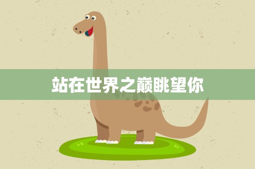 站在世界之巅眺望你