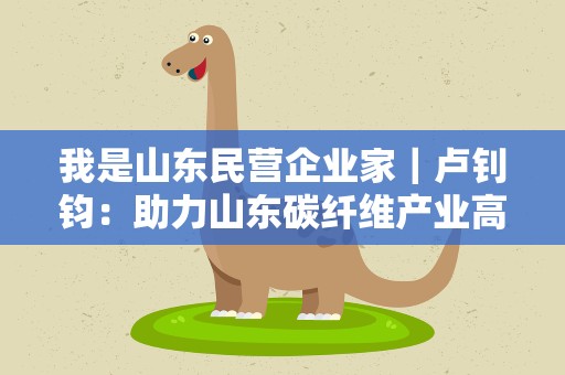 我是山东民营企业家｜卢钊钧：助力山东碳纤维产业高质量发展