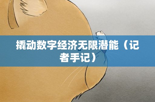 撬动数字经济无限潜能（记者手记）