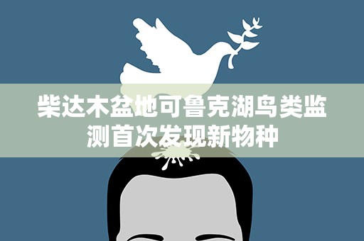 柴达木盆地可鲁克湖鸟类监测首次发现新物种