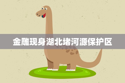 金雕现身湖北堵河源保护区