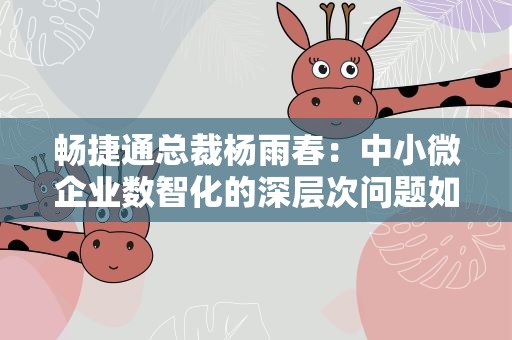 畅捷通总裁杨雨春：中小微企业数智化的深层次问题如何解决？