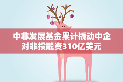 中非发展基金累计撬动中企对非投融资310亿美元