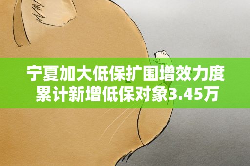 宁夏加大低保扩围增效力度 累计新增低保对象3.45万人