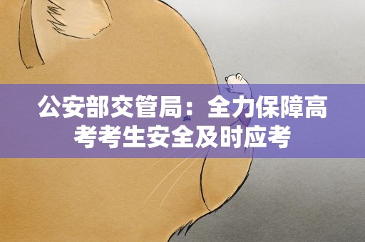 公安部交管局：全力保障高考考生安全及时应考