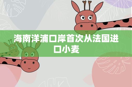 海南洋浦口岸首次从法国进口小麦