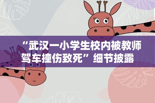 “武汉一小学生校内被教师驾车撞伤致死”细节披露