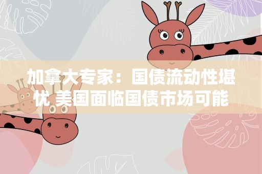 加拿大专家：国债流动性堪忧 美国面临国债市场可能崩溃的威胁