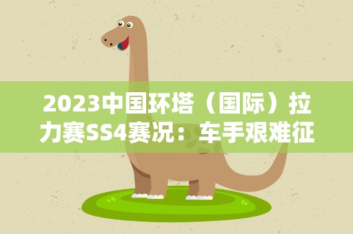 2023中国环塔（国际）拉力赛SS4赛况：车手艰难征战高难度赛道
