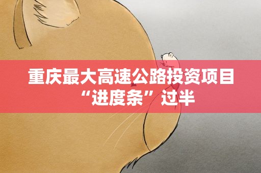重庆最大高速公路投资项目“进度条”过半
