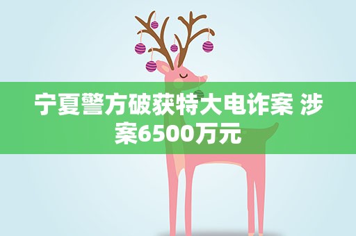 宁夏警方破获特大电诈案 涉案6500万元
