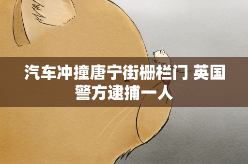 汽车冲撞唐宁街栅栏门 英国警方逮捕一人