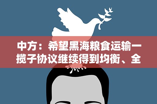 中方：希望黑海粮食运输一揽子协议继续得到均衡、全面、有效落实