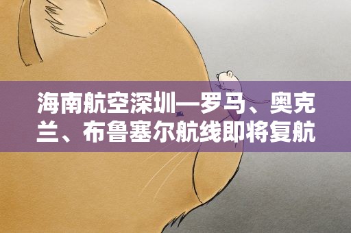 海南航空深圳—罗马、奥克兰、布鲁塞尔航线即将复航