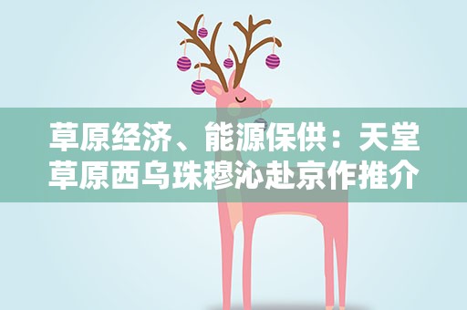 草原经济、能源保供：天堂草原西乌珠穆沁赴京作推介