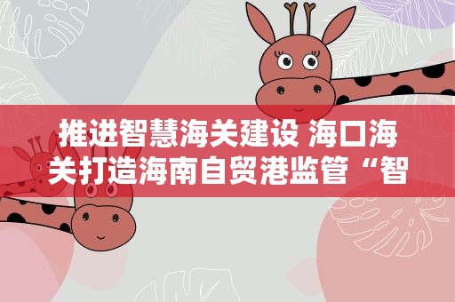 推进智慧海关建设 海口海关打造海南自贸港监管“智脑”